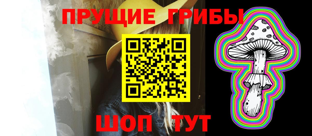 купить наркотик  Малоярославец  Псилоцибиновые грибы Magic Shrooms 