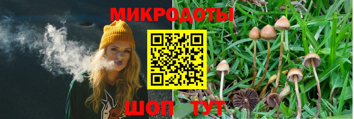купить   Галлюциногенные грибы GOLDEN TEACHER  Вход с VPN  Малоярославец 