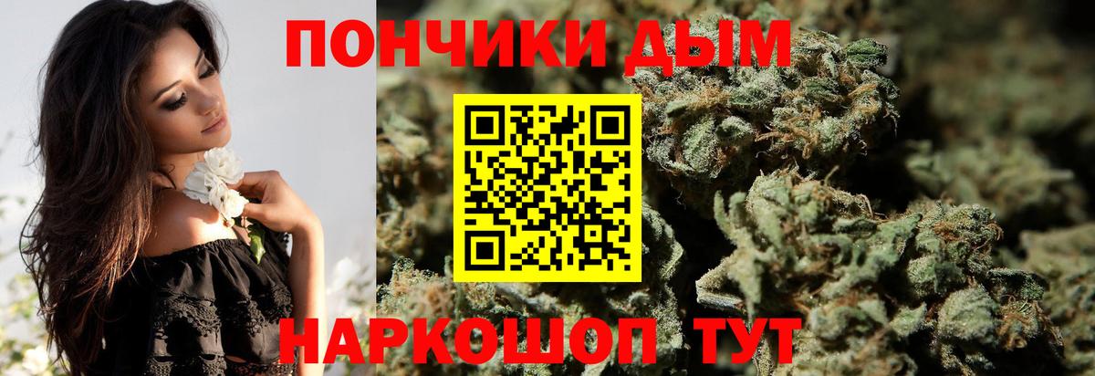 Каннабис сатива Малоярославец